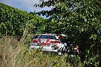 WRC-D 20-08-2010 085.jpg WRC-D 20-08-2010 085.jpg